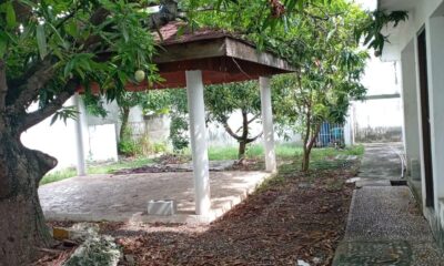 31b95f8d-dade-44d6-a849-55da3c6c7c8b