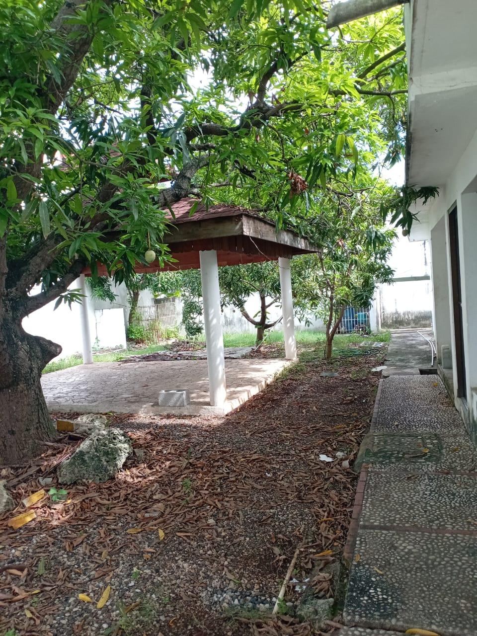 31b95f8d-dade-44d6-a849-55da3c6c7c8b