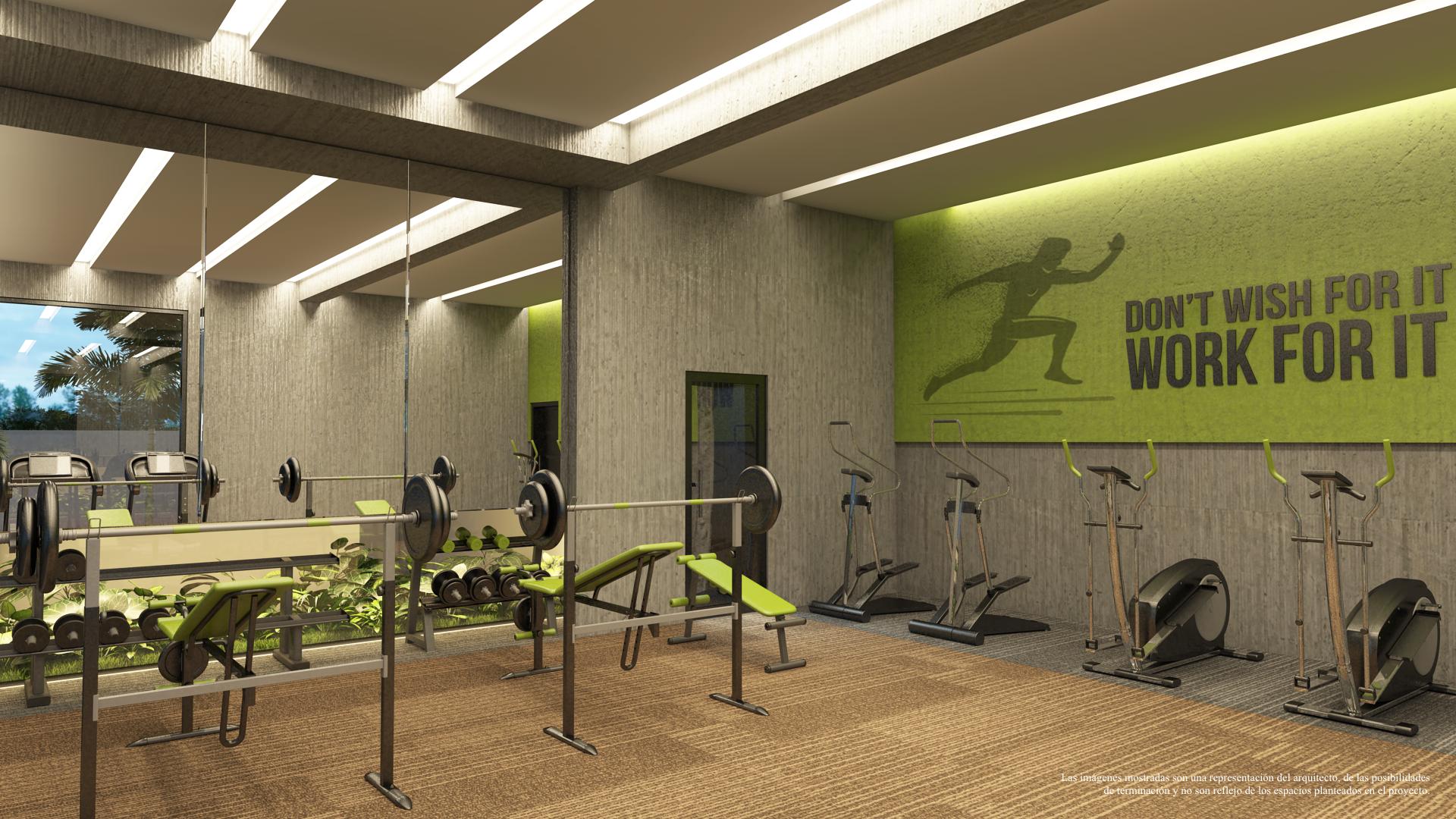 11_3D_Gymnasio_Tc_198 - en