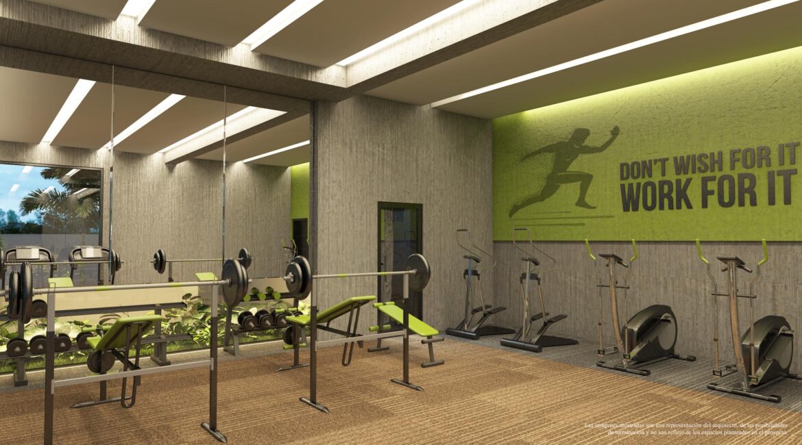 11_3D_GYMNASIO_TC_198