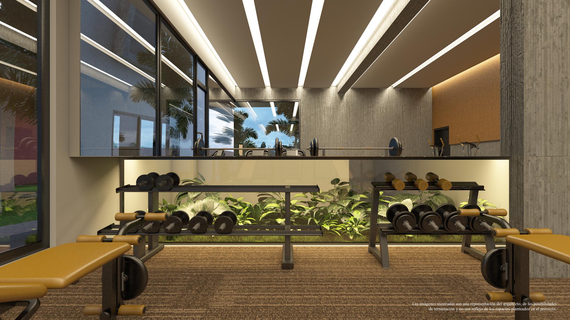 12_3D_Gymnasio_Tc_198 - en