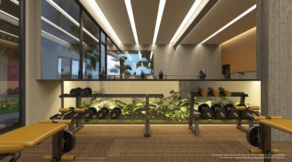 12_3D_GYMNASIO_TC_198