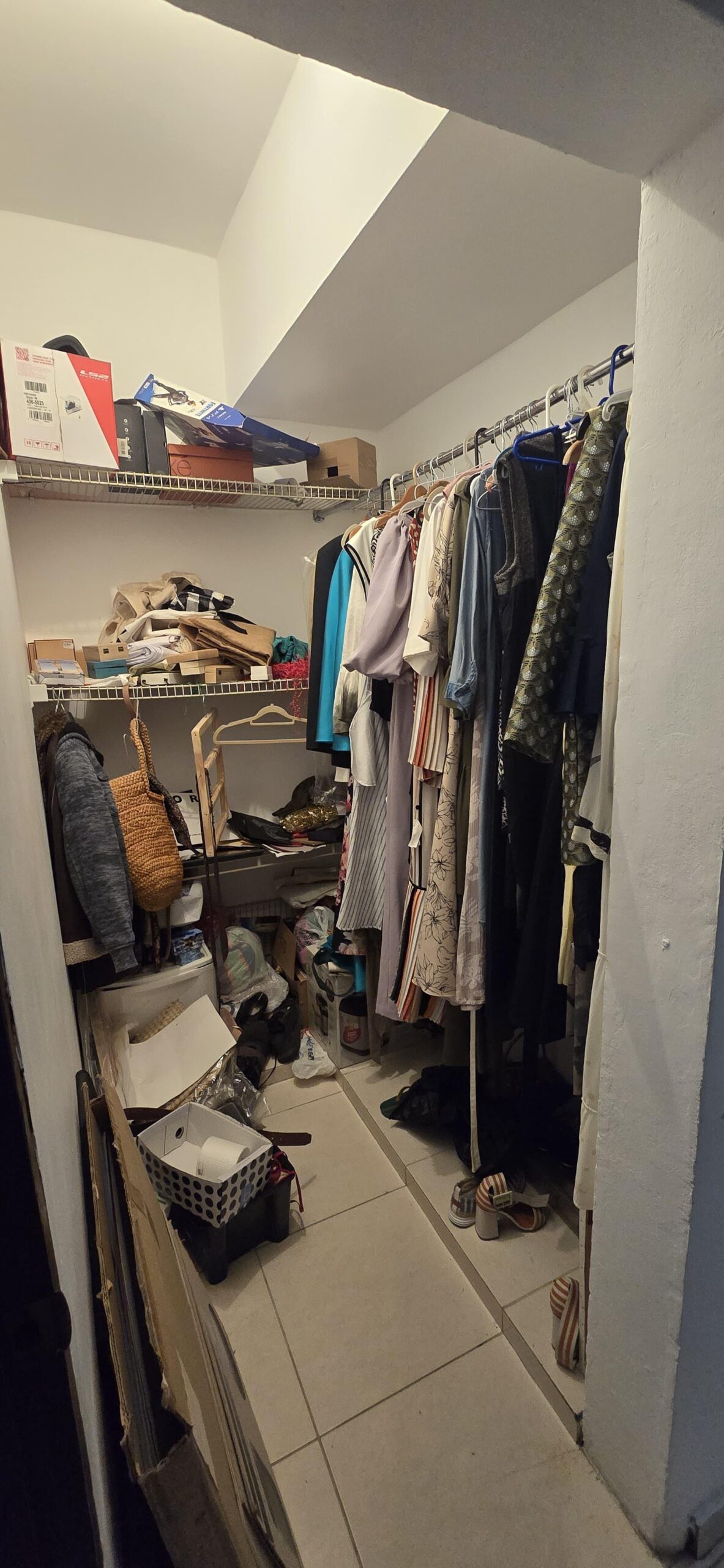 IMG-20250218-WA0251