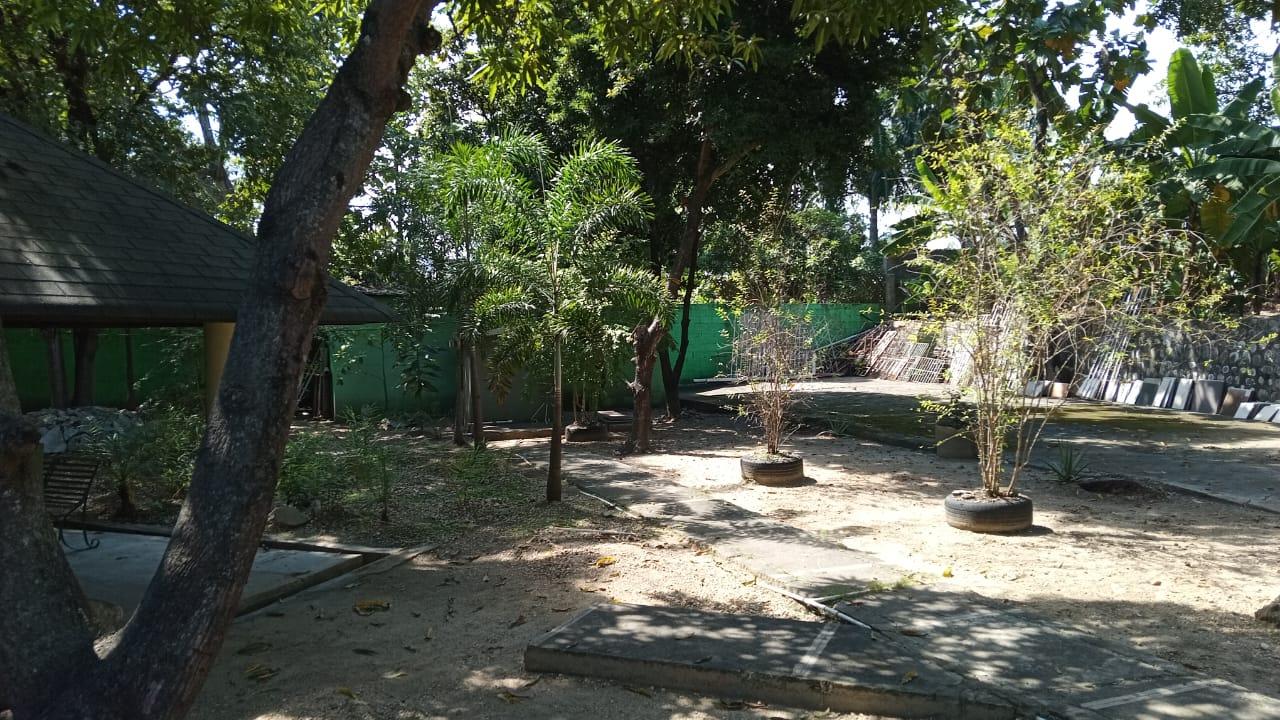 IMG-20250218-WA0287