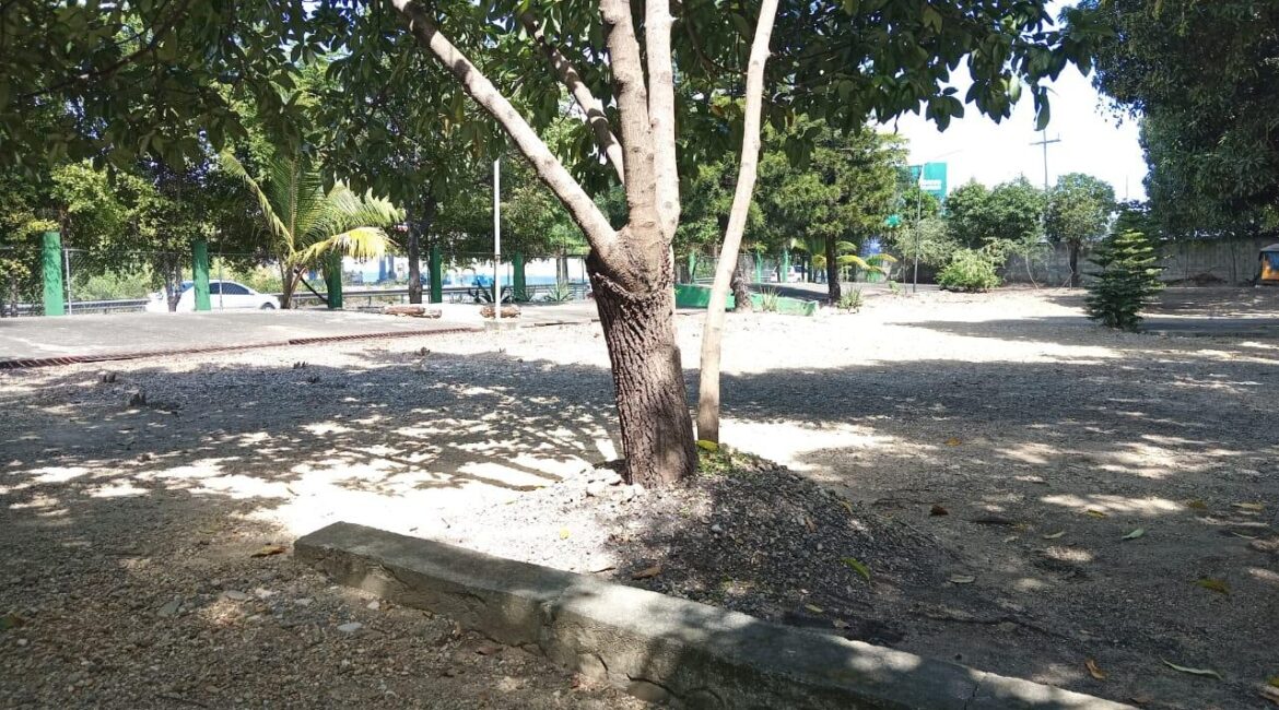 IMG-20250218-WA0292