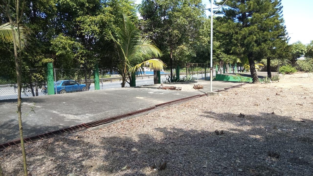 IMG-20250218-WA0293