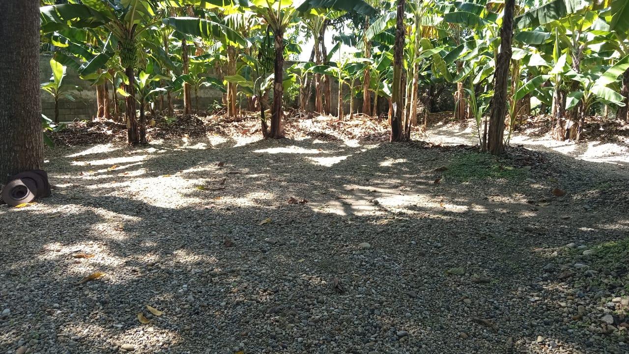 IMG-20250218-WA0294
