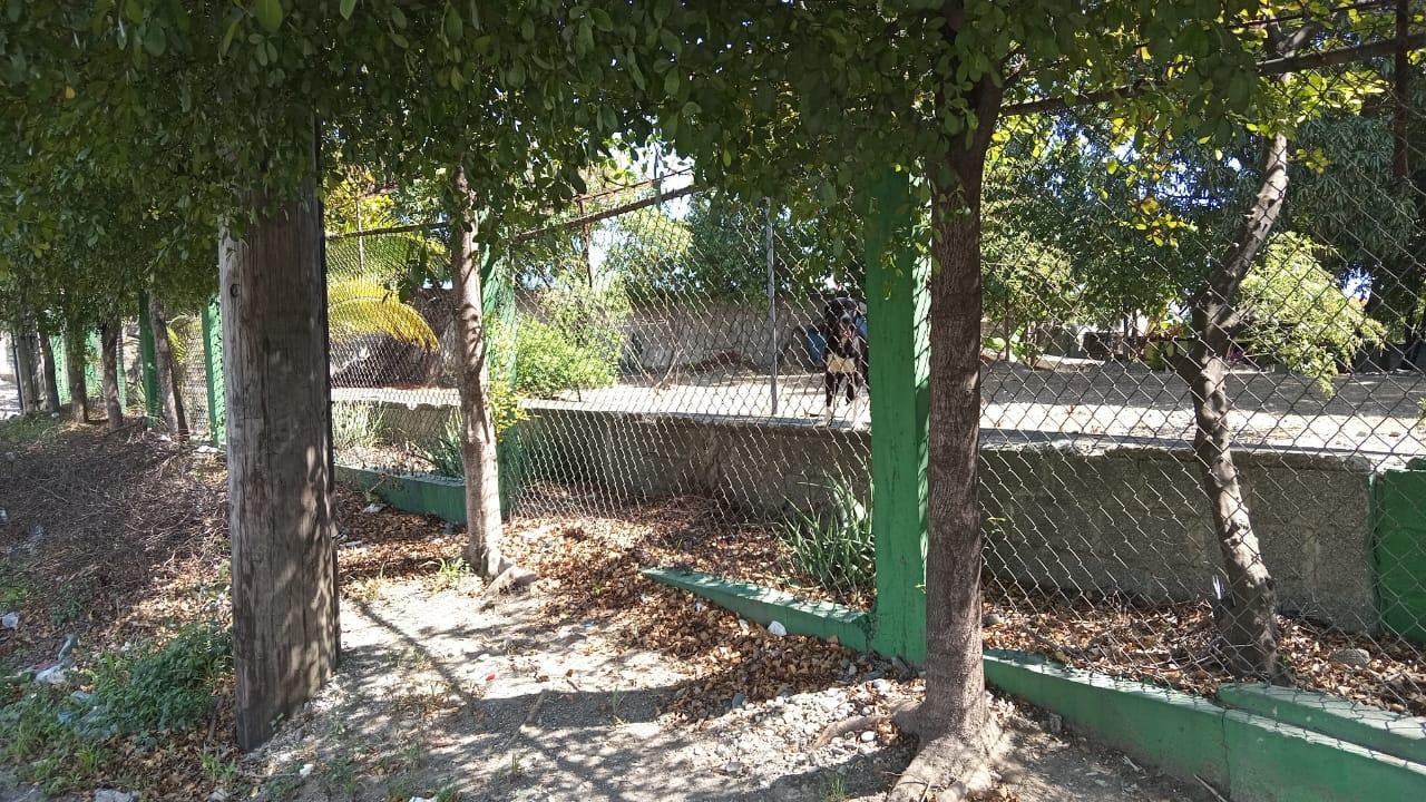 IMG-20250218-WA0300