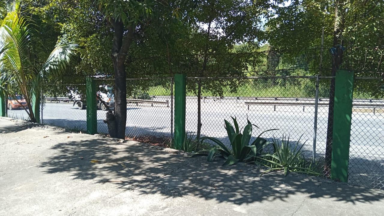 IMG-20250218-WA0307