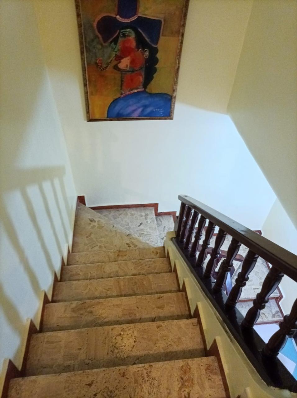 IMG-20250220-WA0251