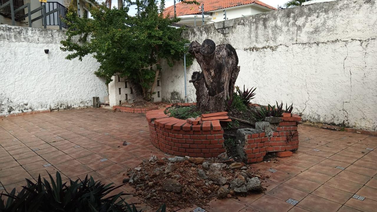 IMG-20250220-WA0275