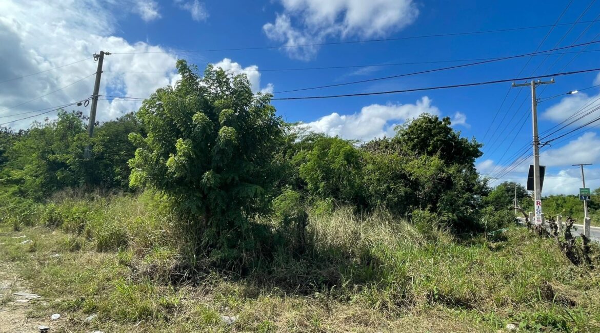 VENDO SOLAR  3,100 Mts.2 en EL Km. 7, ROMANA,   Carretera  ROMANA – SAN PEDRO DE MACORIS