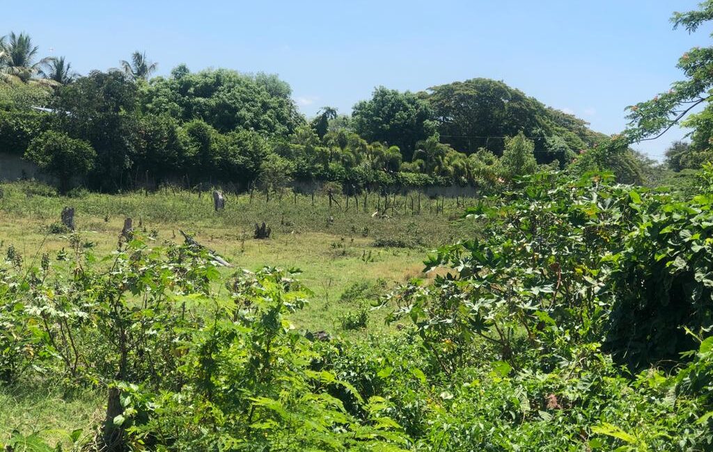 SE VENDE 24,250 mts.2 de Terreno en La Autopista Santiago–Navarrete, PRECIO REBAJADO