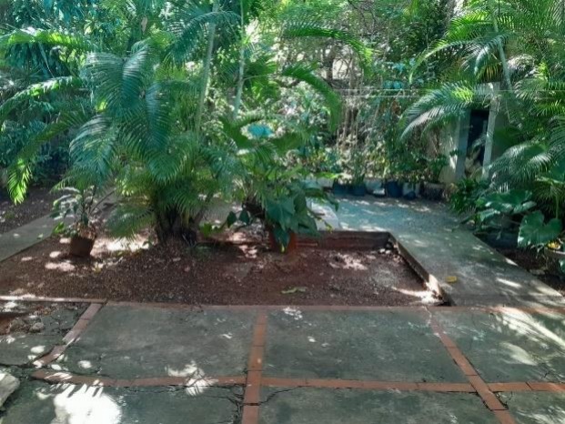 foto11