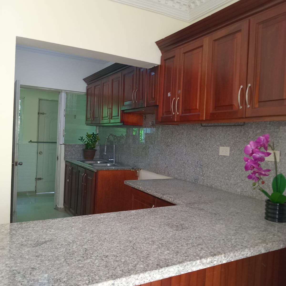 Cocina-1 - en