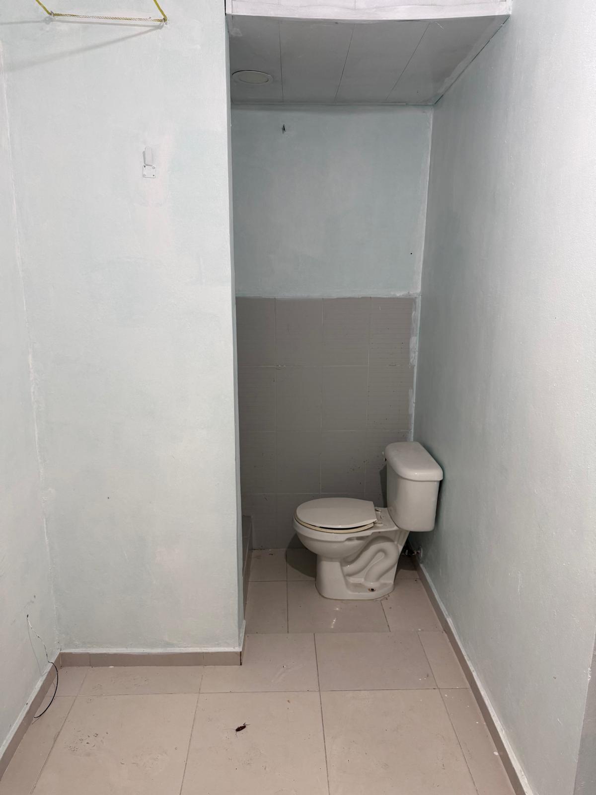 WhatsApp-Image-2026-05-18-at-4.17.07-PM-3 - en