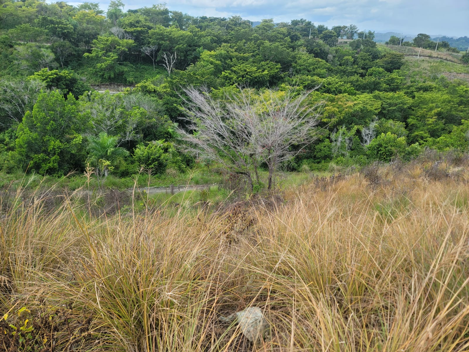 1002583571 - en