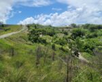 Solar en venta con vista al mar, en Gaspar Hernández - Solares en Espaillat