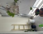Ph Completamente Amueblado En Punta Cana | - Apartamentos en Punta Cana