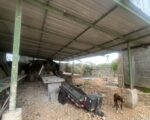 Nave En Alquiler En Pantoja Con Oficina, Despacho, Baños, Cisterna, Agua, Luz - Naves Industriales en Manoguayabo