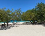Lotes En Venta En Pedernales Desde 300 Metros, Super Especial De 2,000 M2 A 5 Minutos De La Playa - Terrenos en Pedernales