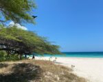 Lotes En Venta En Pedernales Desde 300 Metros, Super Especial De 2,000 M2 A 5 Minutos De La Playa - Terrenos en Pedernales