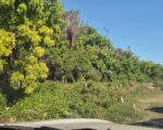 Terreno En Venta En La Zona Metropolitana - Terrenos en Pedernales