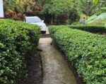 🌿 MOUNTAIN ESTATE FOR SALE 10 TAREAS OF LAND(Approx. 1.55 Acres), YAROA – SANTIAGO/PUERTOPLATA, DOMINICAN REPUBLIC - Villas en Sosúa