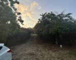 🌿 MOUNTAIN ESTATE FOR SALE 10 TAREAS OF LAND(Approx. 1.55 Acres), YAROA – SANTIAGO/PUERTOPLATA, DOMINICAN REPUBLIC - Villas en Sosúa