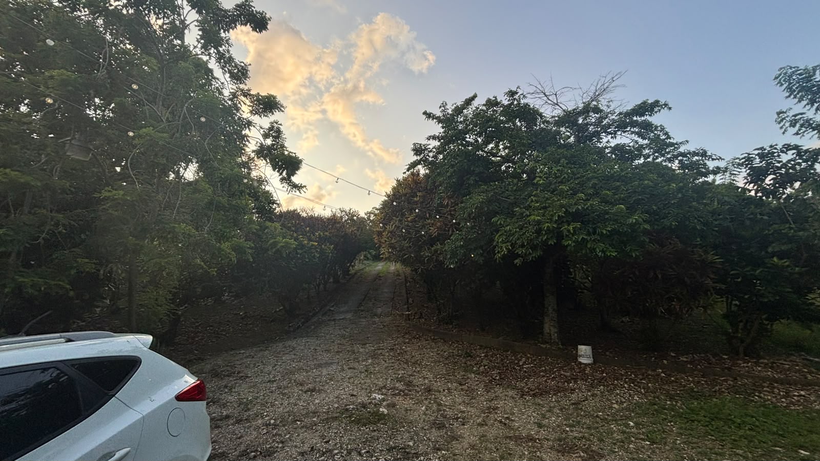 exteriorentrada - en