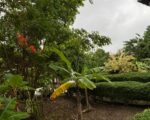 🌿 MOUNTAIN ESTATE FOR SALE 10 TAREAS OF LAND(Approx. 1.55 Acres), YAROA – SANTIAGO/PUERTOPLATA, DOMINICAN REPUBLIC - Villas en Sosúa