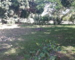 Terreno – Barbacoa de Privado, Property – Barbacoa from a private Person, Grundstück – Barbacoa von Privat, - Terrenos en Las Terrenas