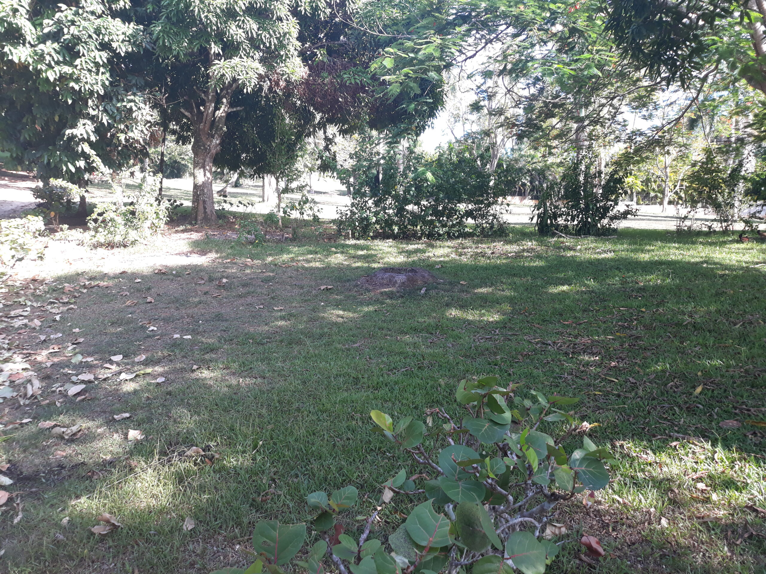 20260828_162656 - en