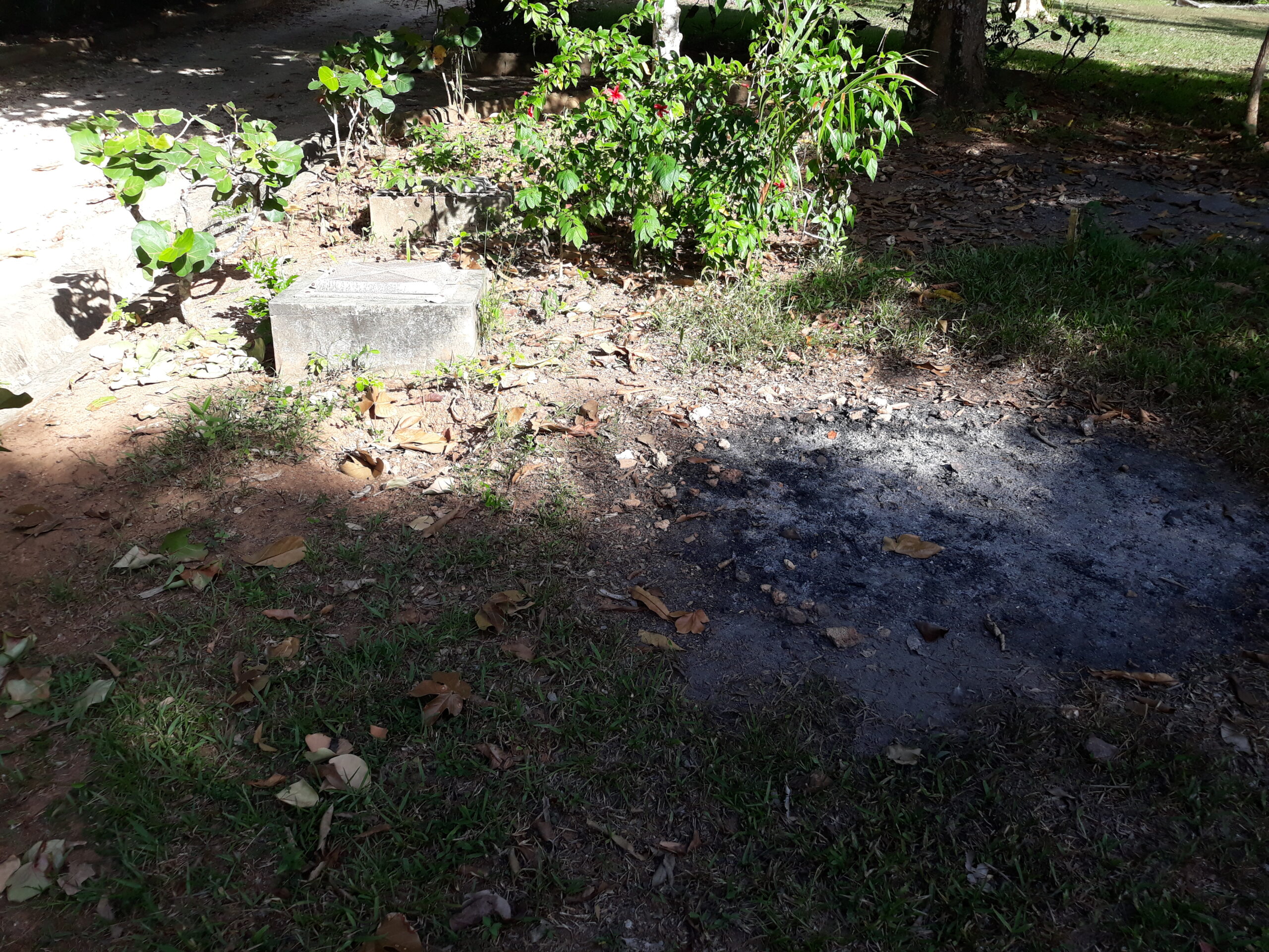 20260828_164350 - en