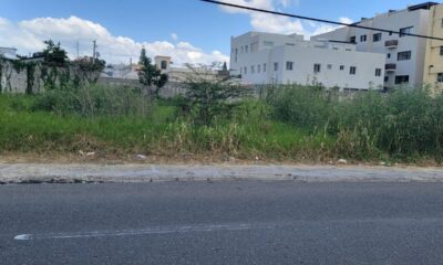 FOTO-TERRENO-LAS-DIANAS