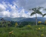 ¡INVIERTE DONDE LA NATURALEZA SE CONVIERTE EN VALOR! 📍 Colinas de Mina, Villa Altagracia – San Cristóbal - Solares en Villa Altagracia