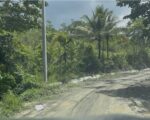 ¡INVIERTE DONDE LA NATURALEZA SE CONVIERTE EN VALOR! 📍 Colinas de Mina, Villa Altagracia – San Cristóbal - Solares en Villa Altagracia
