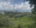 ¡INVIERTE DONDE LA NATURALEZA SE CONVIERTE EN VALOR! 📍 Colinas de Mina, Villa Altagracia – San Cristóbal - Solares en Villa Altagracia