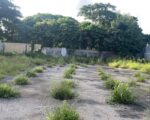 SOLAR EN VENTA – 4,997 m² | AV. NÚÑEZ DE CÁCERES, SANTIAGO - Solares en Santiago de los Caballeros