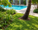 Apartamento en alquiler en Torre Murales | Santo Domingo - Apartamentos en Gascue
