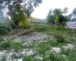 Magnifico solar en cabral ,Barahona - Solares en Cabral