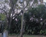 Large 24,196 m² Estate with 5-Bedroom Home in Villa Mella, Dominican Republic - Terrenos en Villa Mella