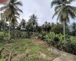Large 24,196 m² Estate with 5-Bedroom Home in Villa Mella, Dominican Republic - Terrenos en Villa Mella